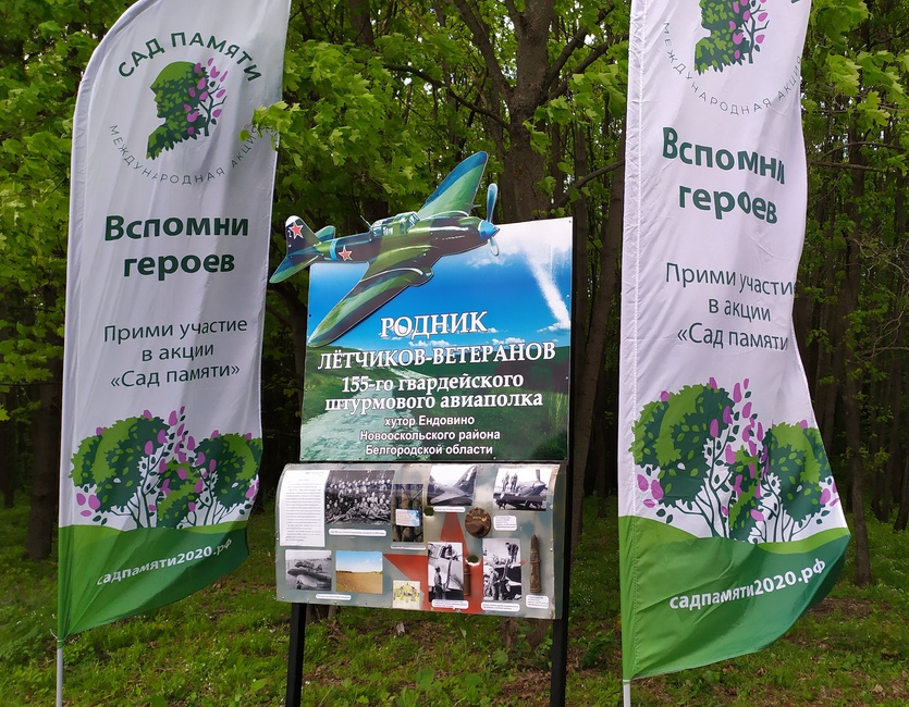 Белгородские лесники заложили аллею памяти