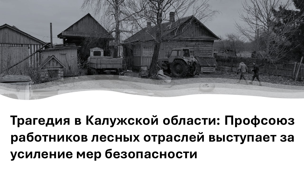 Трагедия в Калужской области: Профсоюз работников лесных отраслей выступает за усиление мер безопасности