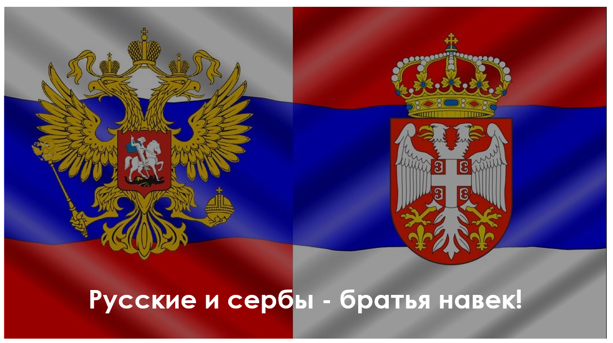 ВИДЕО: Профсоюз работников леса и деревообработки Сербии посетил Российскую Федерацию